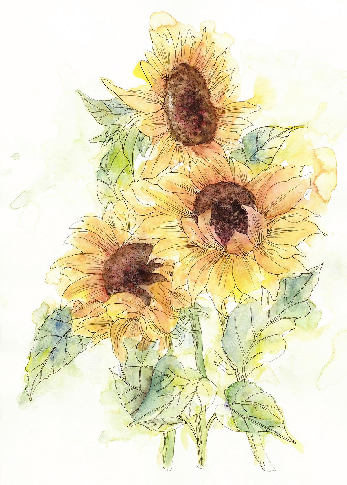 Vliestapete Girasol - Gelb/Grün, Basics (200/250cm) - Komar