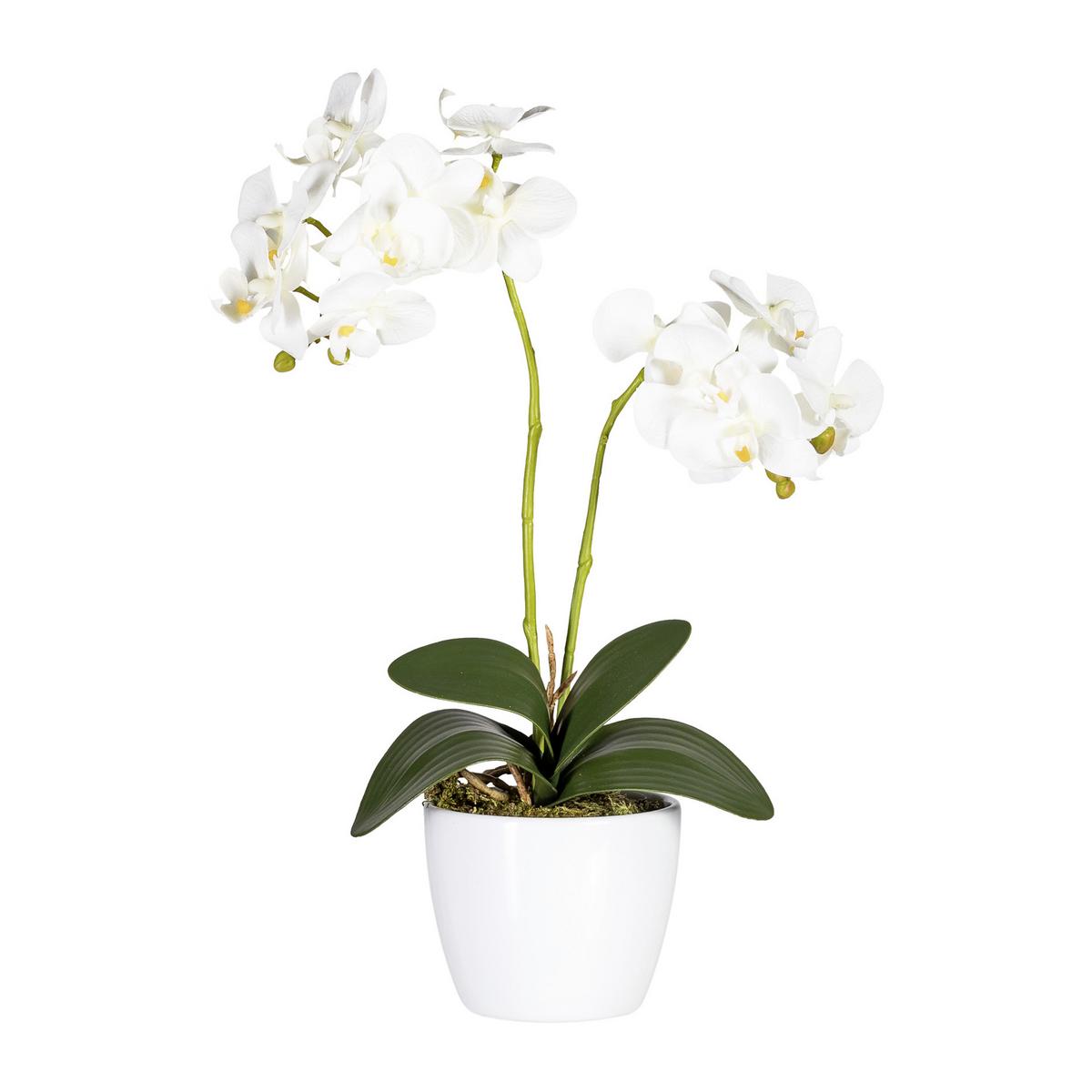 Kunstpflanze Orchidee Bunt H: 40 cm Im Topf, Sofie - Lila/Weiß, KONVENTIONELL, Keramik/Kunststoff (40cm)