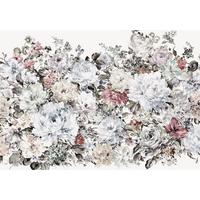 Fototapete Posy - Multicolor, Trend, Papier (400/280cm) - Komar