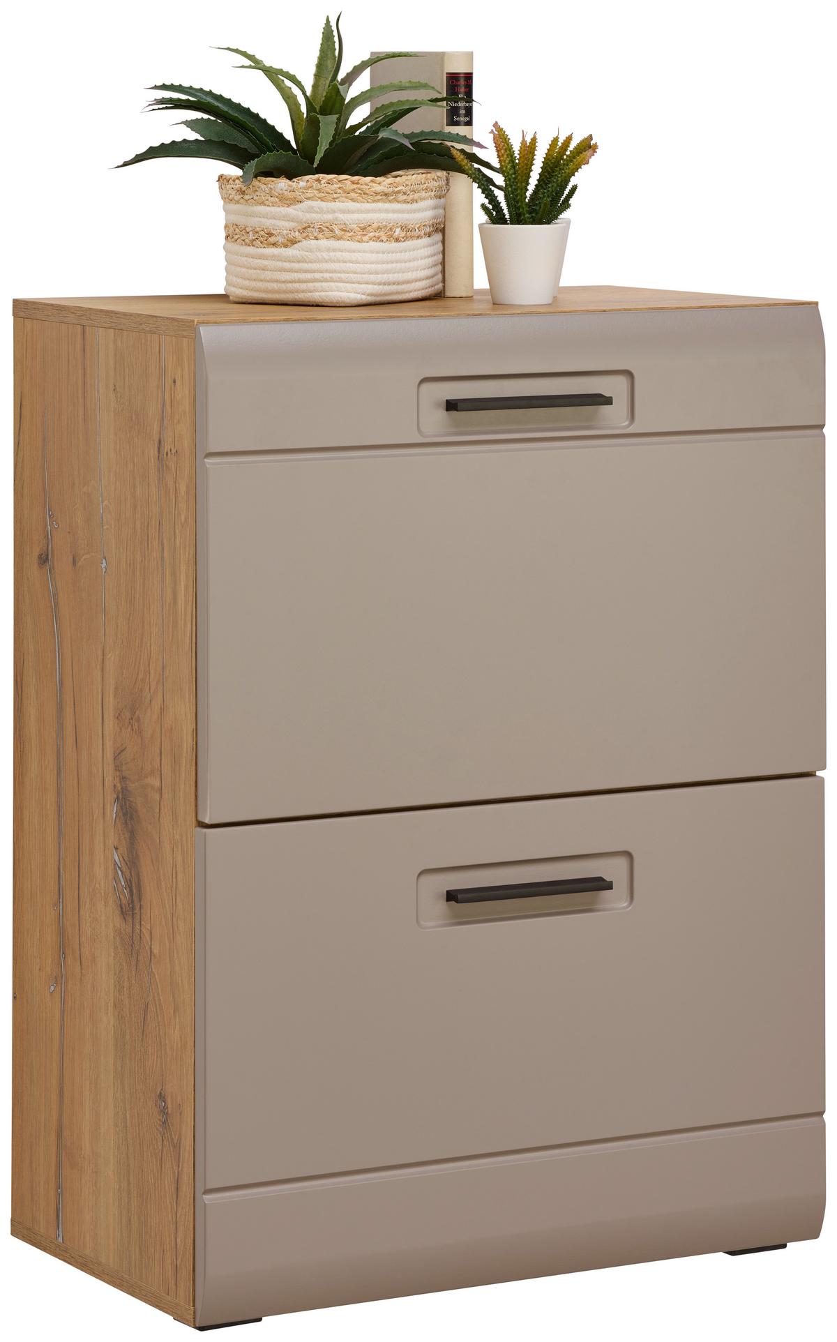 VYKLÁPĚCÍ BOTNÍK AURIS - šedá/barvy dubu, Moderní (60/82,7/37,1cm) - Luca Bessoni