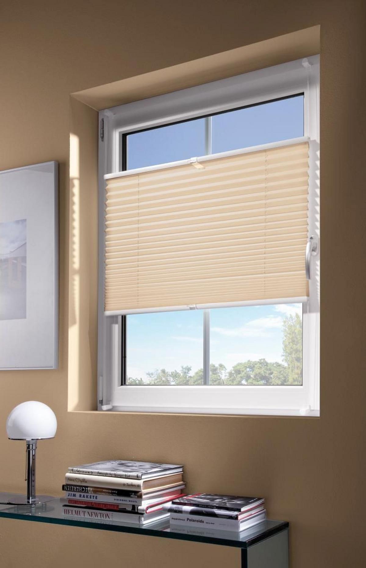 Plissee Free Sandfarben B: 100 Cm - Sandfarben, Basics, Textil (100/130cm) - Homeware