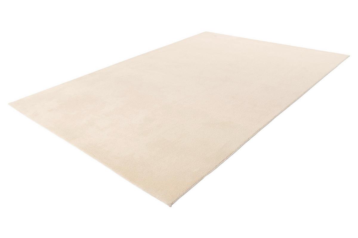 FLACHWEBETEPPICH Beige, Strapazierfähig - Beige, Basics, Textil (80/140cm) - Kayoom