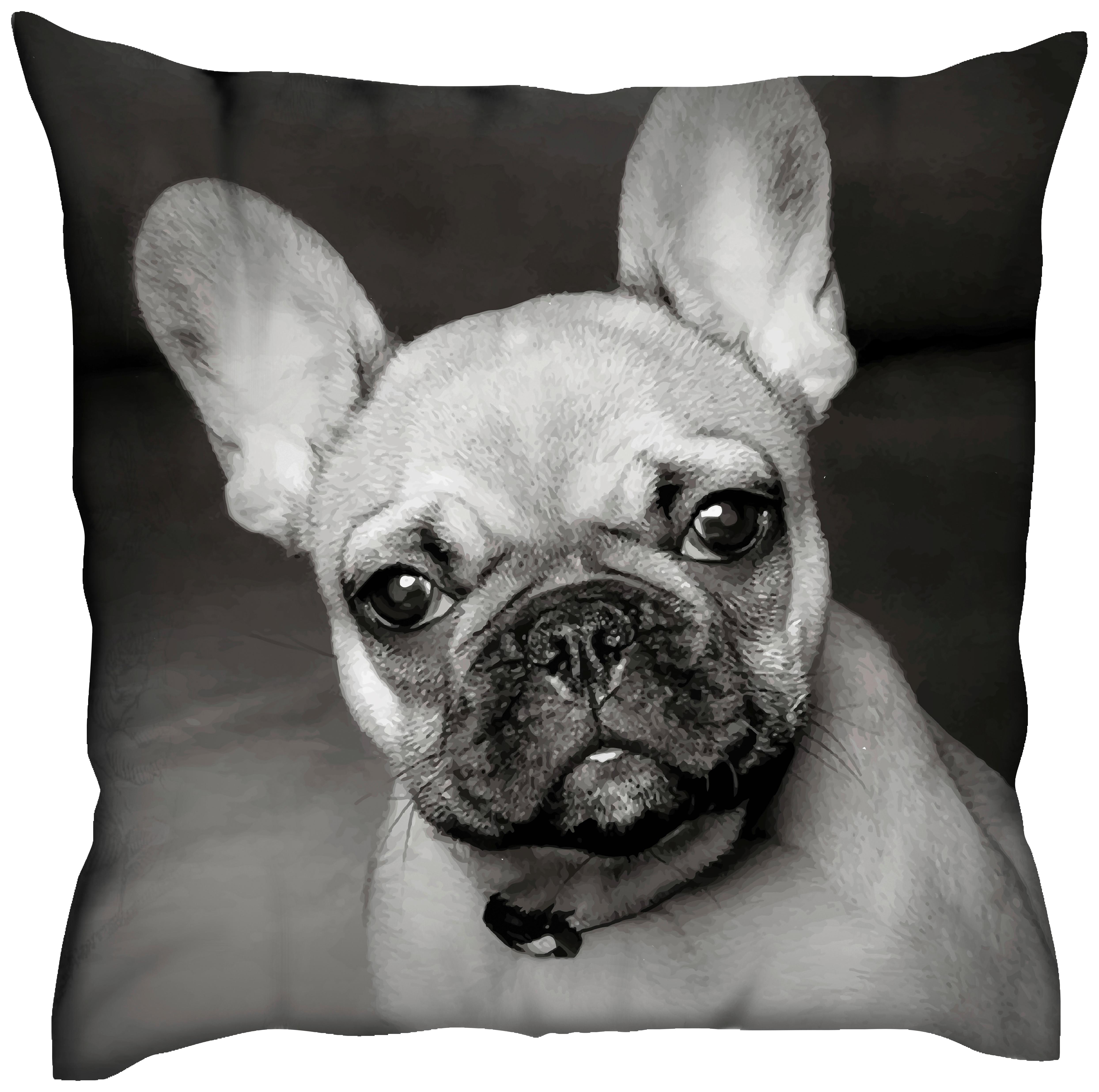 Dekoračný Vankúš French Buldog, 40/40cm - čierna, Design, textil (40/40cm)
