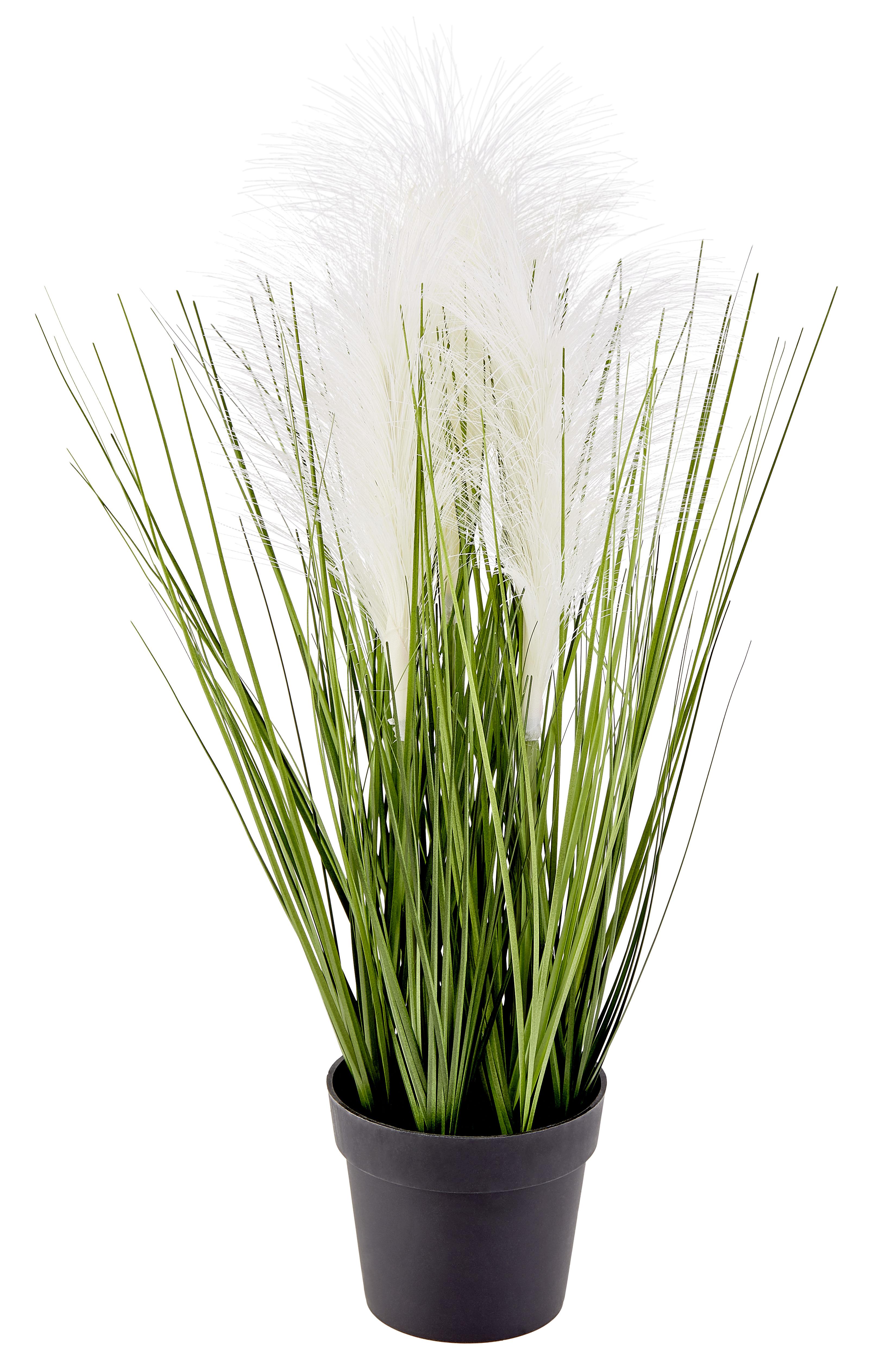 Kunstpflanze Bathia D/H: 15x46 cm Grün/Weiß inkl. Topf - Schwarz/Weiß, KONVENTIONELL, Kunststoff (15/46cm) - Luca Bessoni