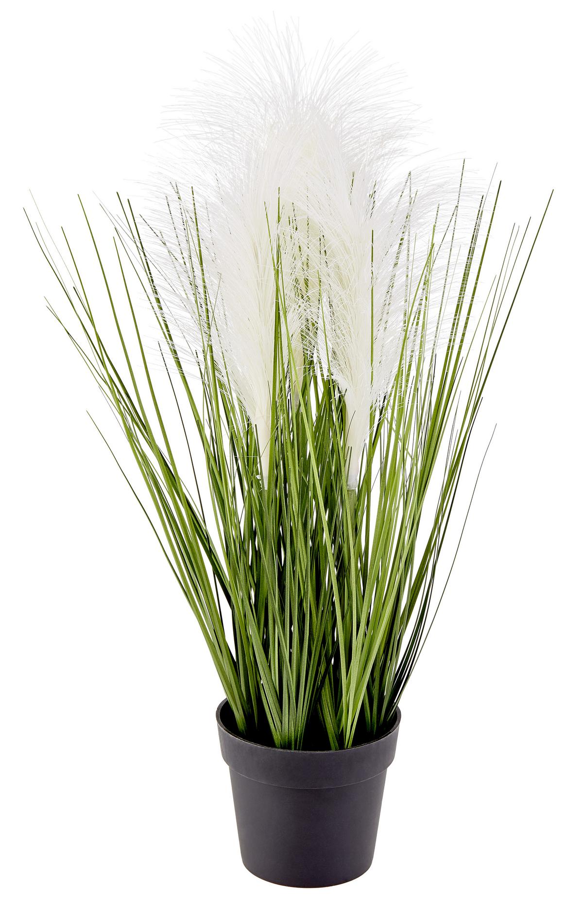 Kunstpflanze Bathia Grün/Weiß H: 46 cm mit Topf - Schwarz/Weiß, KONVENTIONELL, Kunststoff (15/46cm) - Luca Bessoni