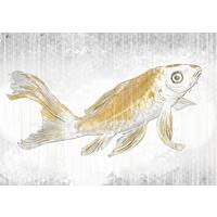 Fototapete Rsx8-049 Golden Koi - Goldfarben/Weiß, Trend (400/280cm)