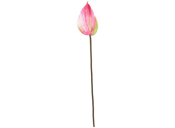 Umelá Kvetina Anthurie I - zelená/ružová, Romantický / Vidiecky, plast (76cm) Umelá Kvetina Anthurie I - zelená/ružová, Romantický / Vidiecky, plast (76cm)