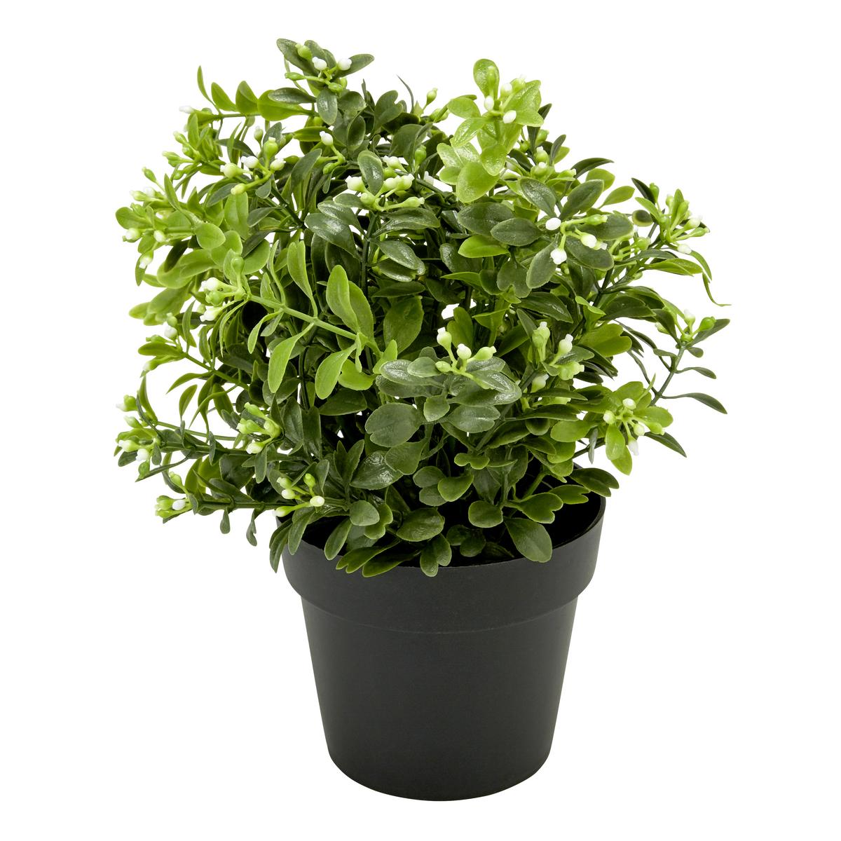 Kunstpflanze Weiß/Grün H: 23 cm Im Topf, Cassandra - Schwarz/Weiß, Basics, Kunststoff (15/23cm) - Luca Bessoni