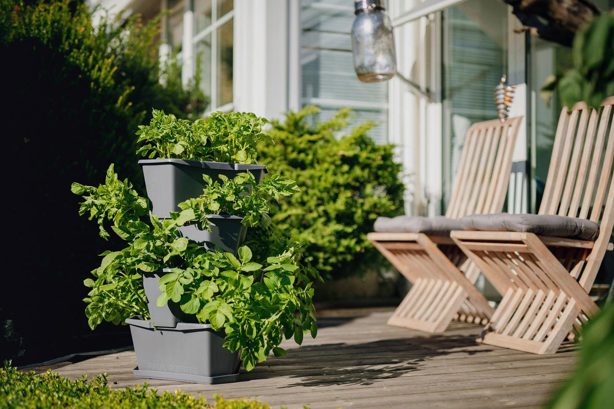 Übertopf Paul Kunststoff Outdoor B/H/T: 44x65x44 cm - Anthrazit, Basics, Kunststoff (44/65/44cm) - Gusta Garden