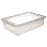 Box mit Deckel Bea, 8 Liter - Transparent, KONVENTIONELL, Kunststoff (39/26,5/10cm) - Homezone