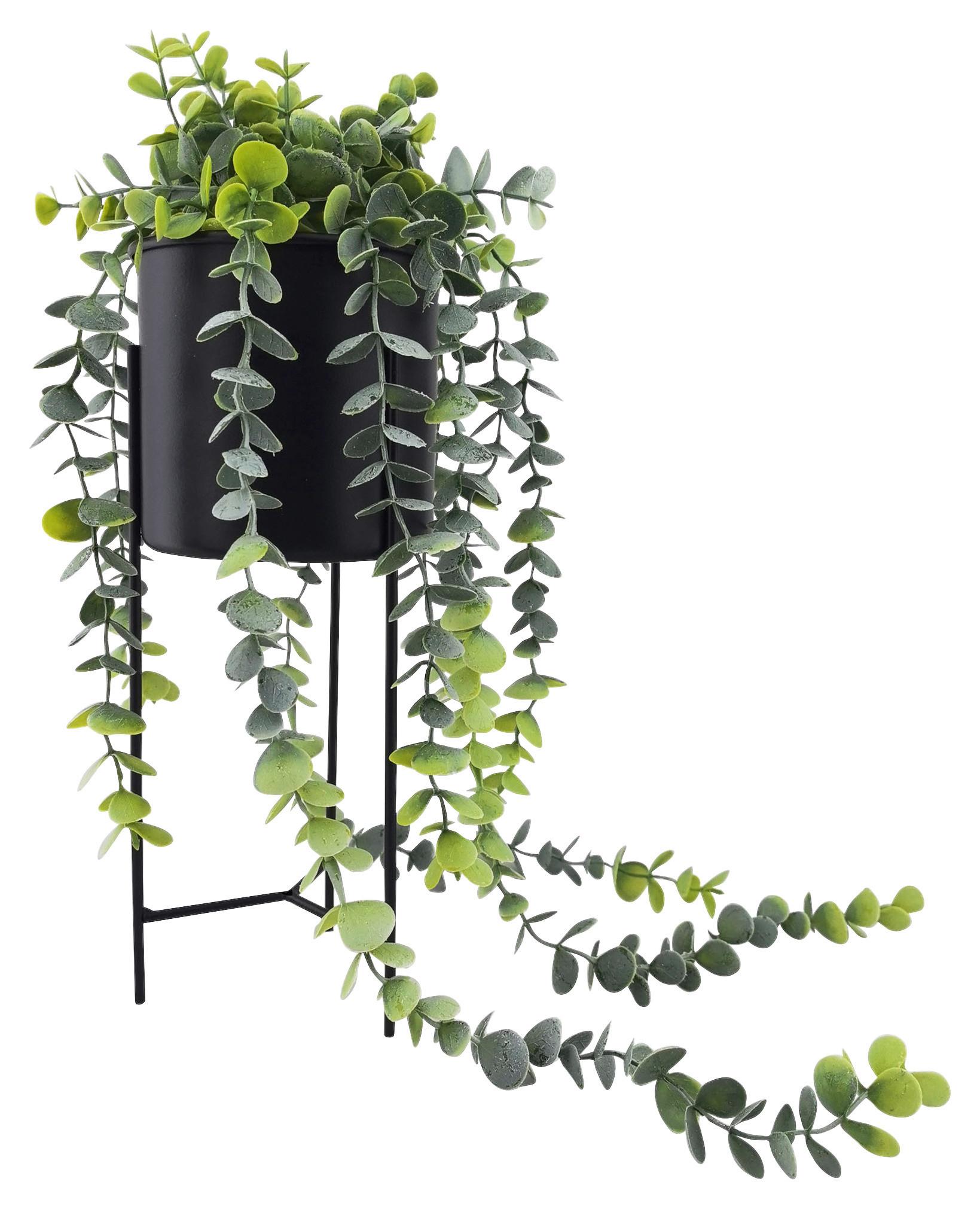 Umelá rastlina JONI - čierna/zelená, Basics, kov/plast (11,8/36,5cm) - Mömax