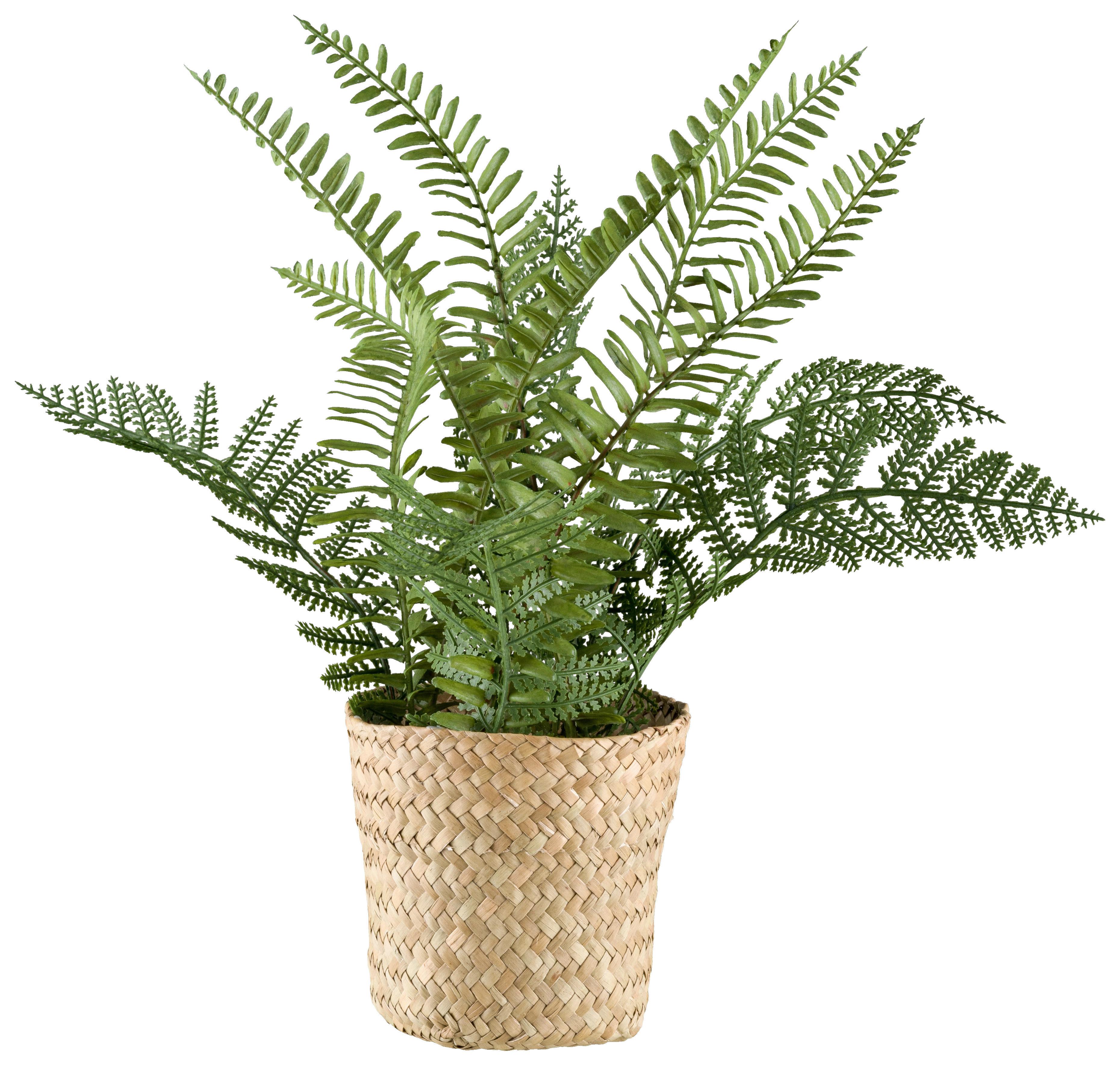 UMELÁ RASTLINA FARN I - prírodná farba/zelená, Basics, plast/prírodné materiály (38cm) - Modern Living
