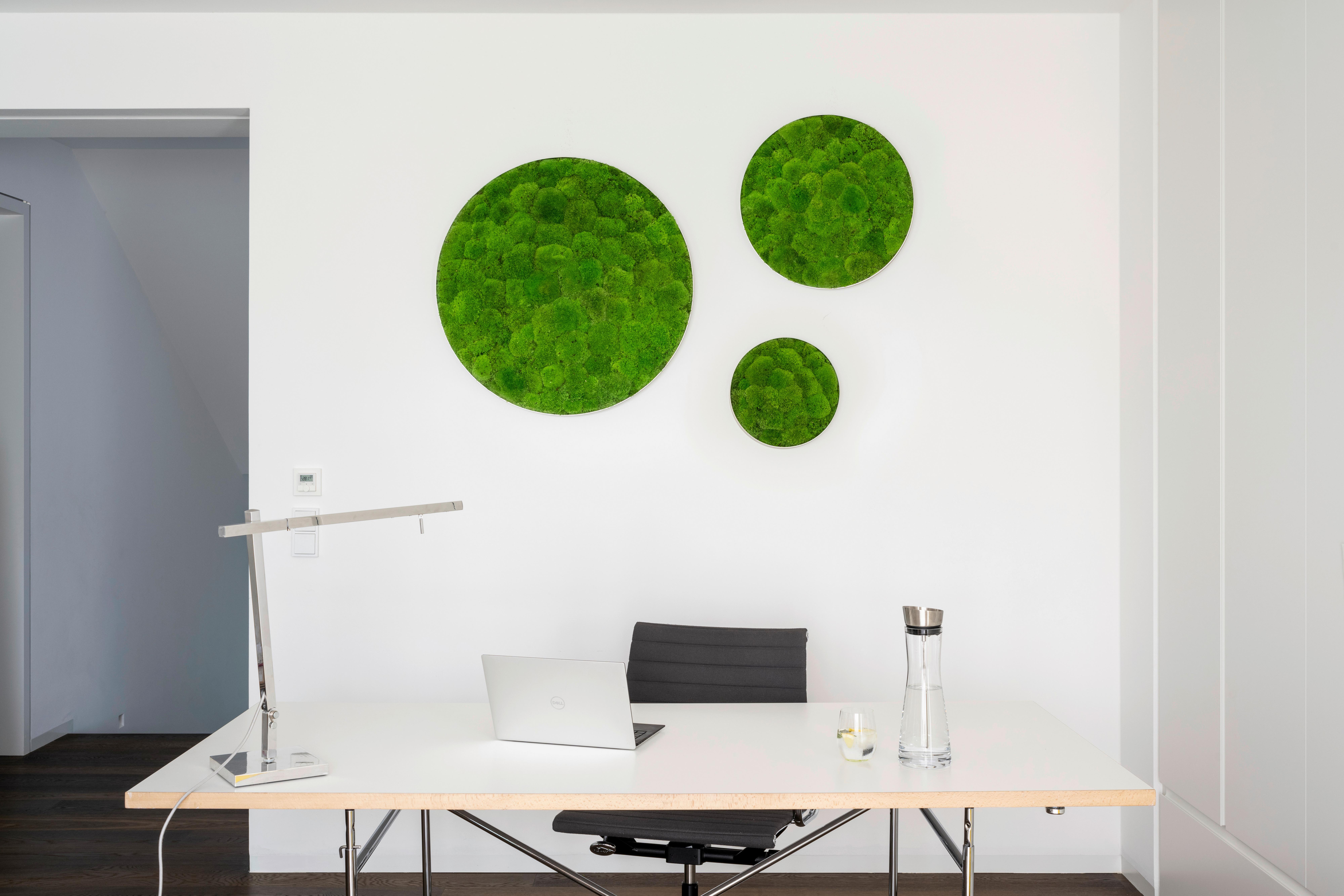 Moosbild Grün B: 80 Cm - Grün, Basics, Naturmaterialien/Metall (80/15cm)