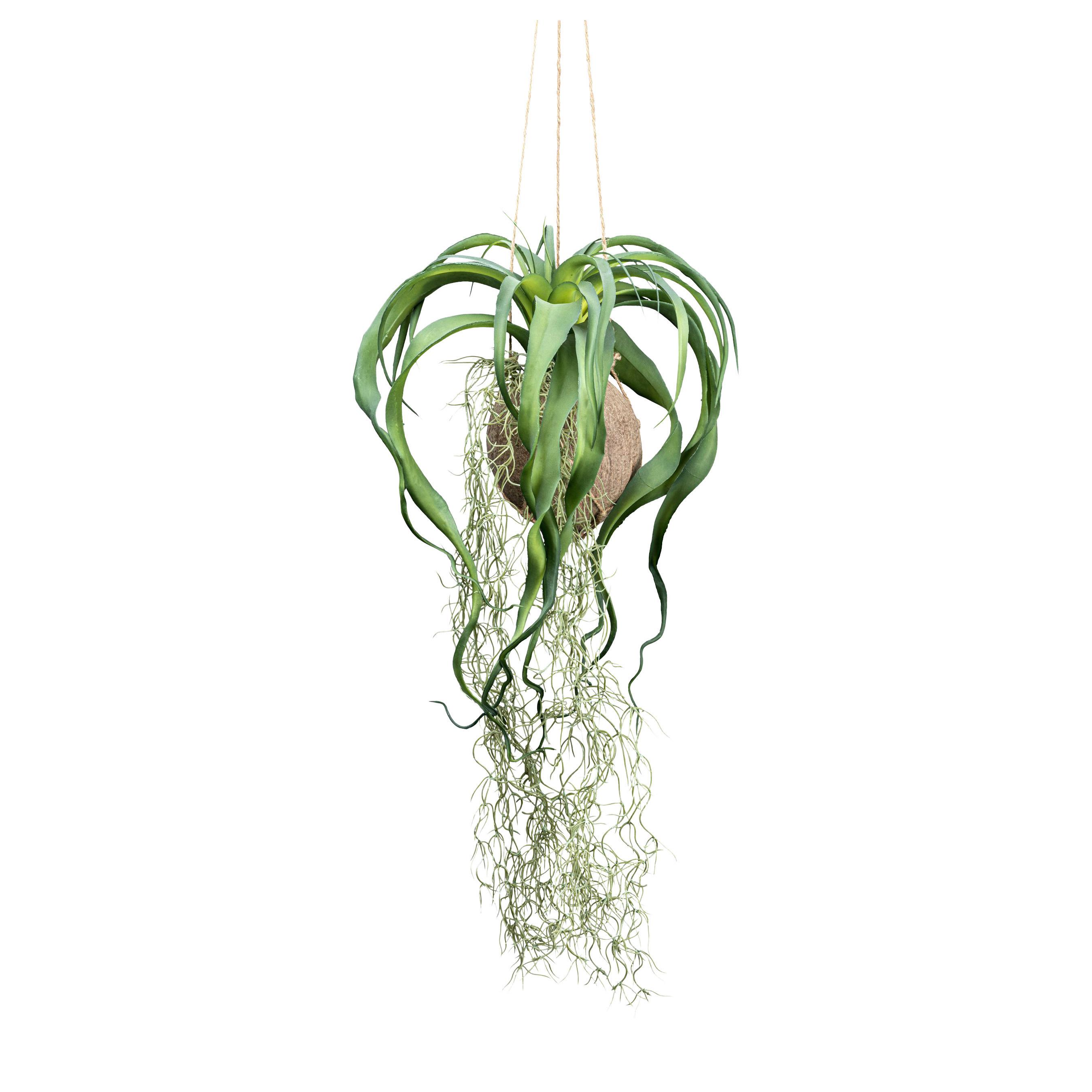 Kunstpflanze Hängepflanze Grün, 63 cm - Grün, Design, Naturmaterialien/Kunststoff (63cm) - P & B