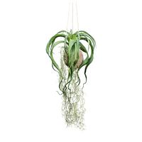 Kunstpflanze Hängepflanze Grün, 63 cm - Grün, Design, Naturmaterialien/Kunststoff (63cm) - P & B