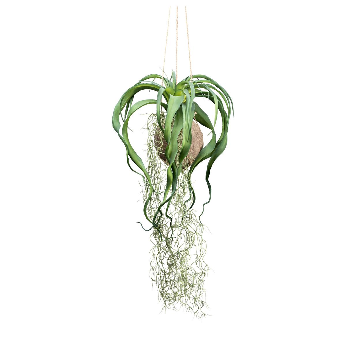 Kunstpflanze Hängepflanze Grün, 63 cm - Grün, Design, Naturmaterialien/Kunststoff (63cm) - P & B