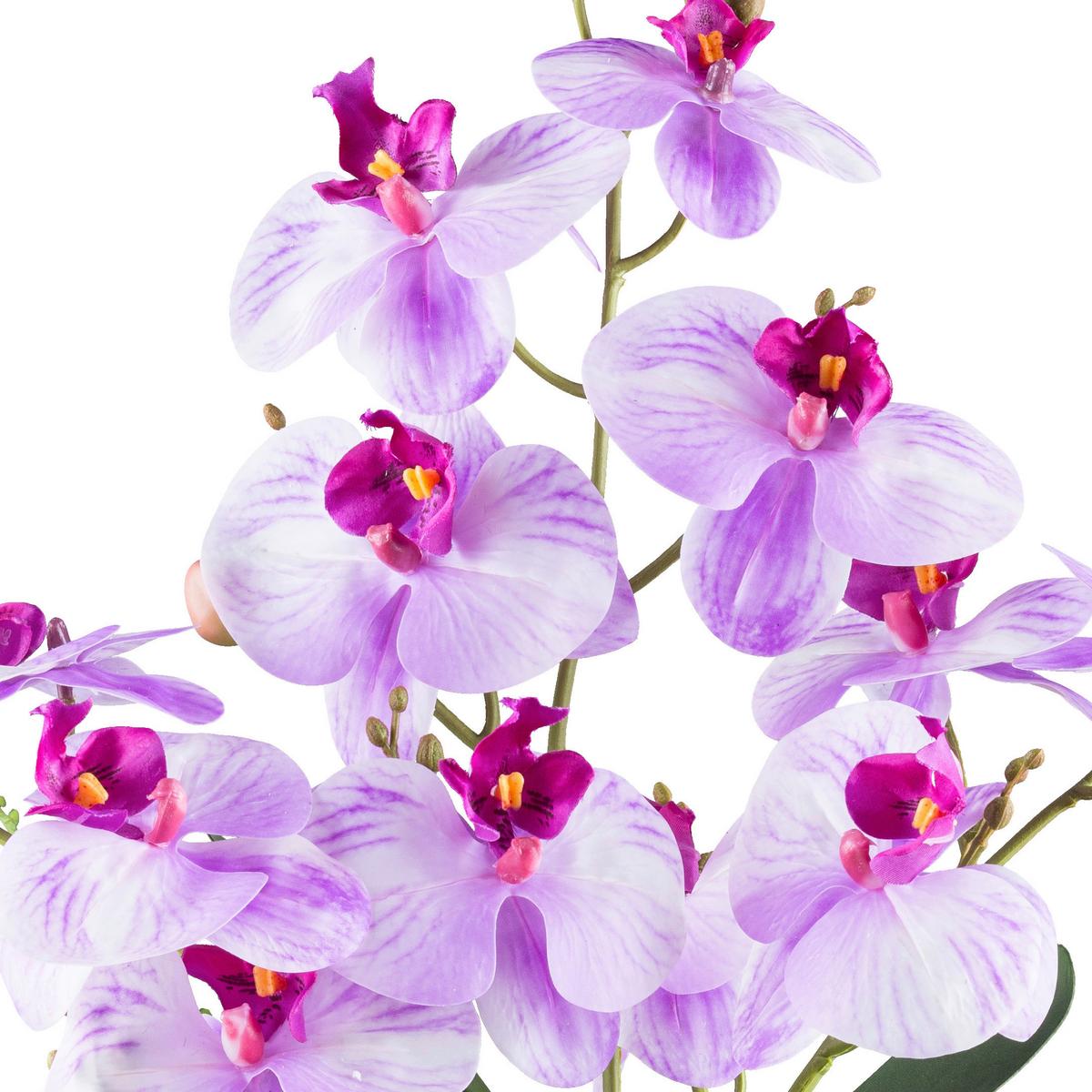 Kunstpflanze Orchideen Grün/weiß/violett, 55 Cm - Violett/Weiß, Design, Keramik/Kunststoff (55cm) - P & B
