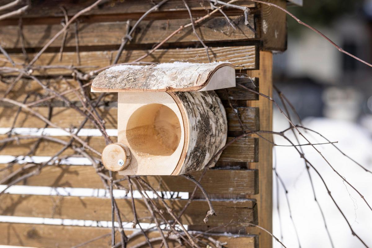 Erdnussbutterglas Halter Bxhxt: 21x17x13 Cm - Birkefarben, Basics, Holz (21/17/13cm) - Windhager