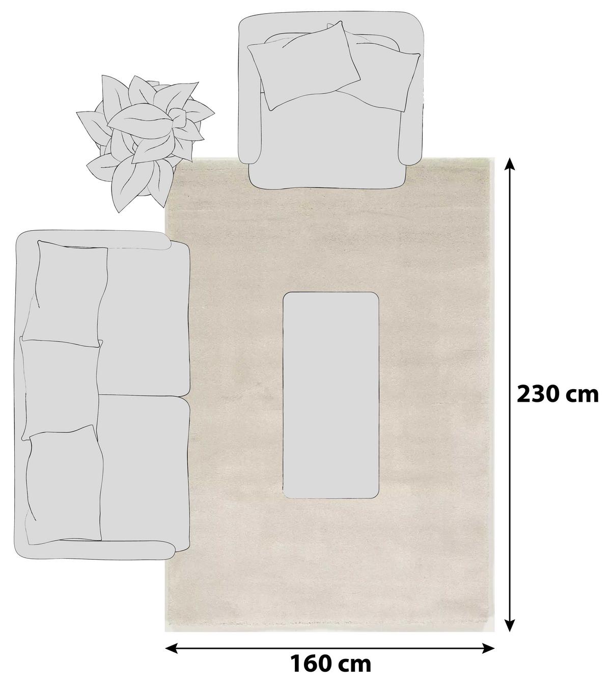 Hochflorteppich Bellevue Creme 160x230 cm - Creme, Basics, Textil (160/230cm) - Novel