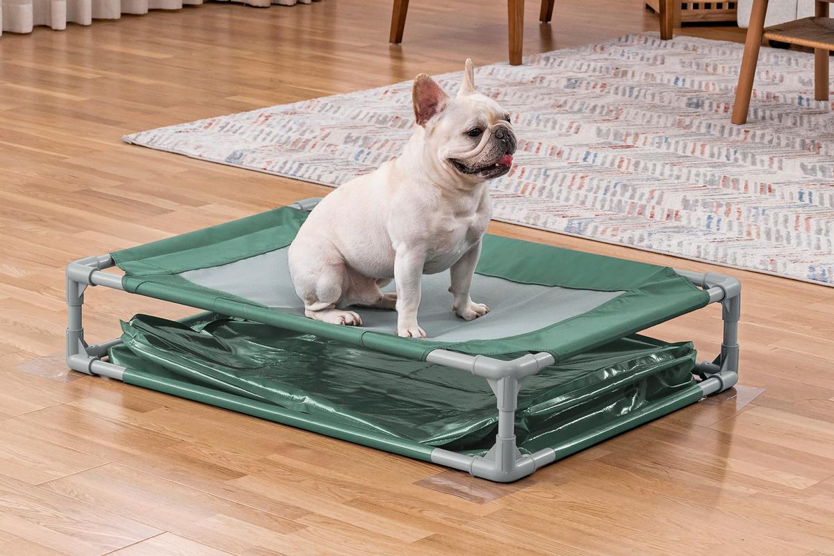 Haustierpool 2in1 Graugrün, B/H/T: 102x20x74 cm - Graugrün, Basics, Kunststoff/Metall (102/20/74cm) - Bestway