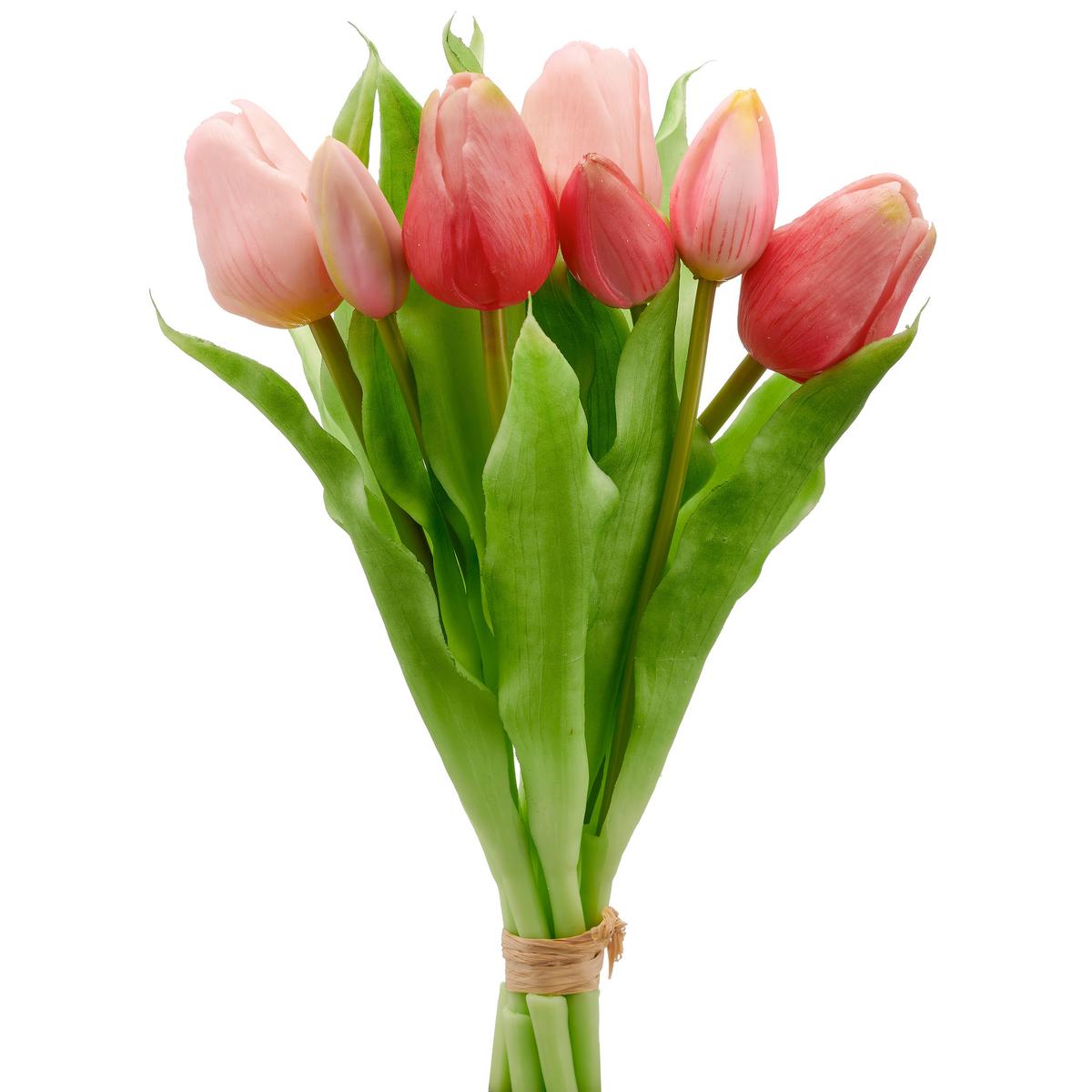 Tulipán TULPENBUND I - pink/zelená, Basics, kov/plast (31cm) - Mömax