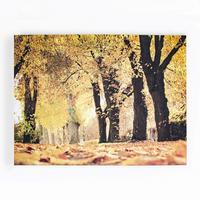 Leinwandbild Herbst - Multicolor, Basics, Wellpappe/Textil (75/100/3cm)