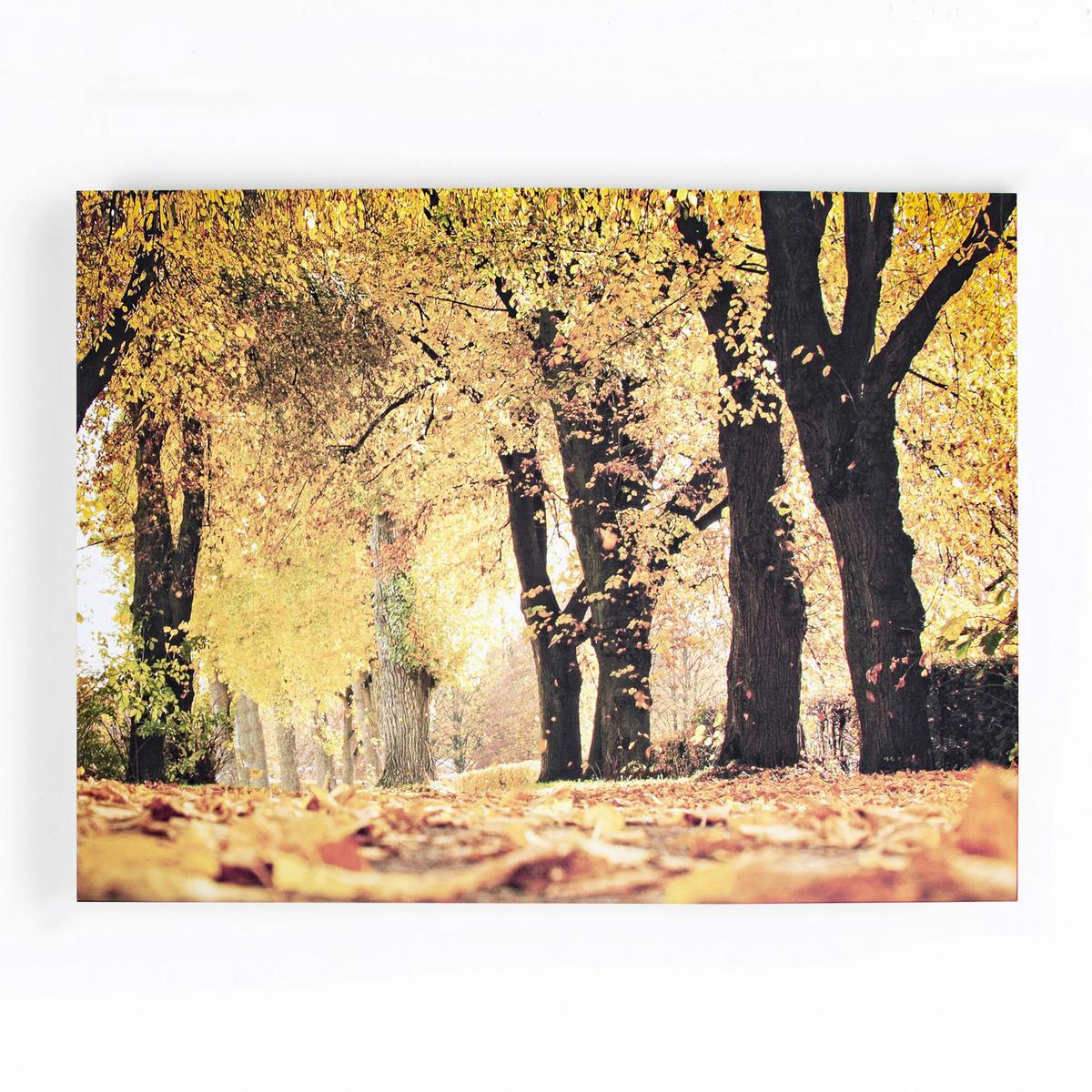 Leinwandbild Herbst - Multicolor, Basics, Wellpappe/Textil (75/100/3cm)