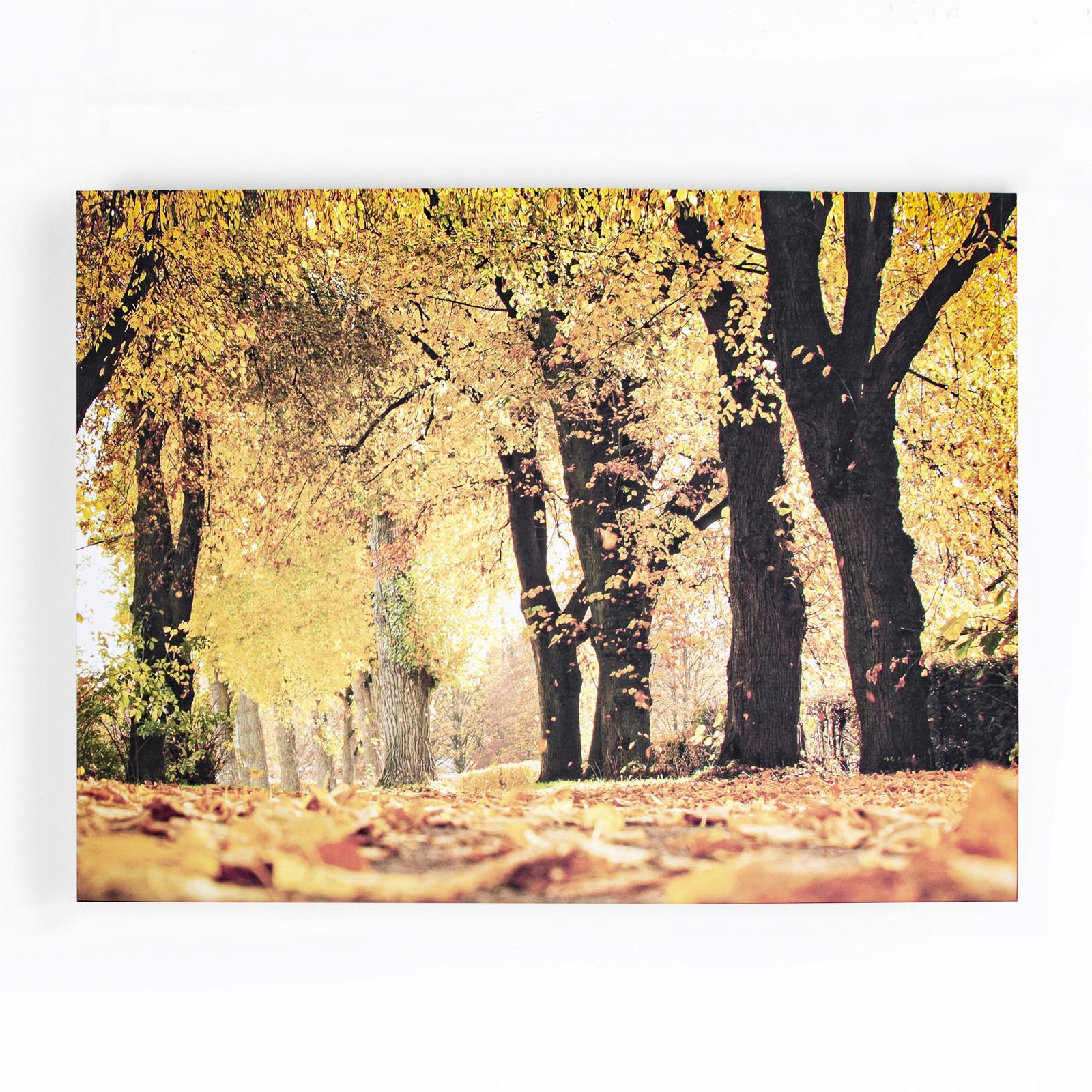 Leinwandbild Herbst