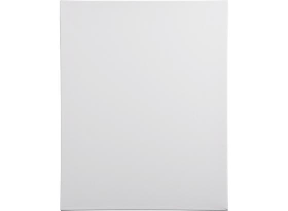 Plátno Malířské Atist Canvas - dřevo/textil (40/50cm) Plátno Malířské Atist Canvas - dřevo/textil (40/50cm)