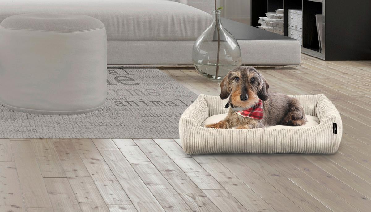 Hundebett Balu Beige L: 70 Cm - Beige, KONVENTIONELL, Textil (70/49/15cm)