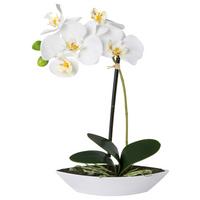 Kunstpflanze Orchideen Weiß, Topf: Weiß, H: 30 cm - Weiß/Grün, Design, Keramik/Kunststoff (30cm) - P & B