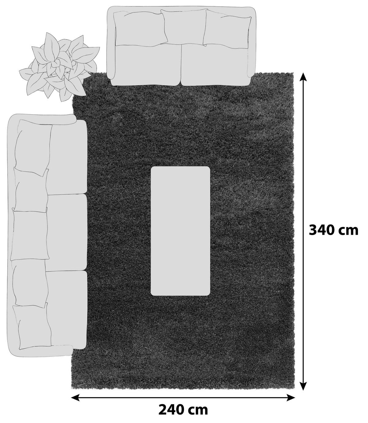 Hochflor Teppich Grau Fluffy 240x340 cm - Grau, Basics, Textil (240/340cm)