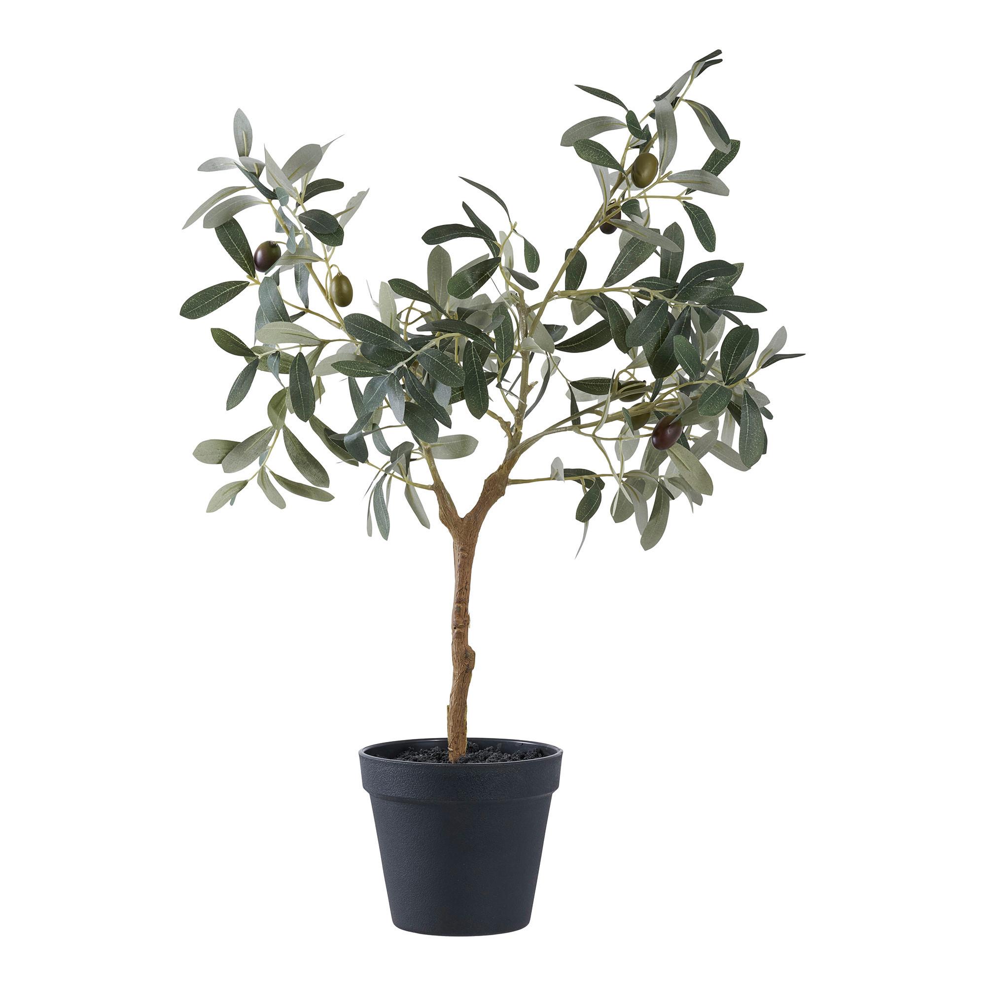 Kunstpflanze Olive Grün B: 22,5 cm - Grün, Design (22.5/61/36.5cm)