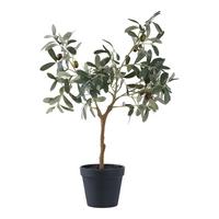 Kunstpflanze Olive Grün B: 22,5 cm - Grün, Design (22.5/61/36.5cm)