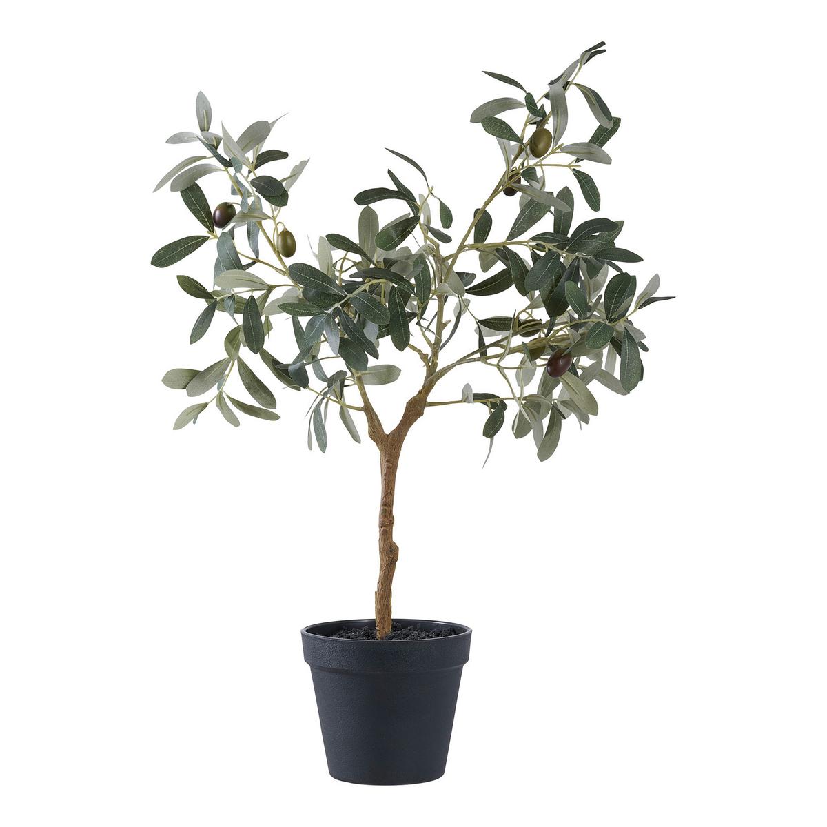 Kunstpflanze Olive Grün B: 22,5 cm - Grün, Design (22.5/61/36.5cm)