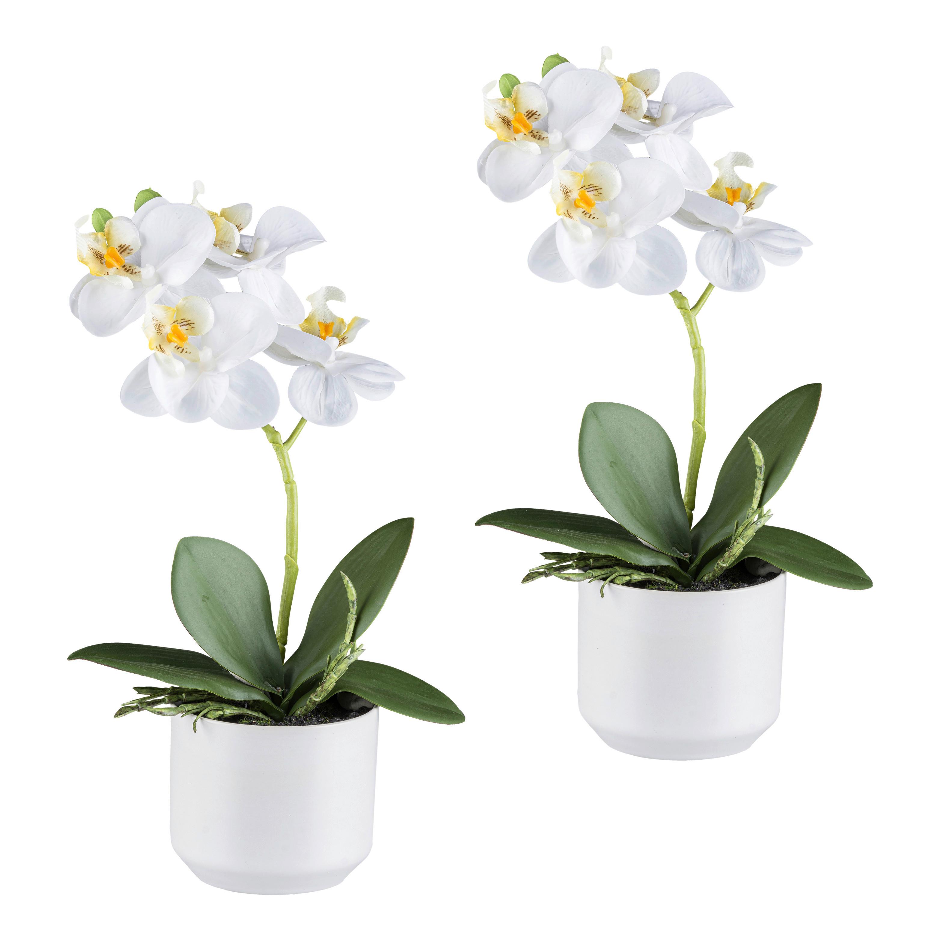 Kunstpflanze Orchideen Grün/Weiß, 27 cm - Weiß/Grün, Design, Keramik/Kunststoff (27cm) - P & B