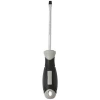 Schraubendreher Schraubendreher Sl1,0x5,5x100 - Schwarz/Grau, Basics, Kunststoff/Metall (10cm) - Homezone