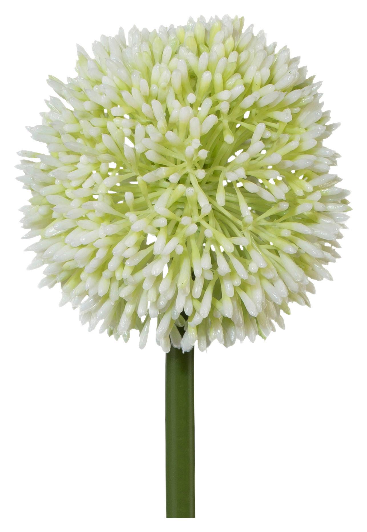 Kunstblume Allium Weiß L: Ca. 64 Cm Alma
