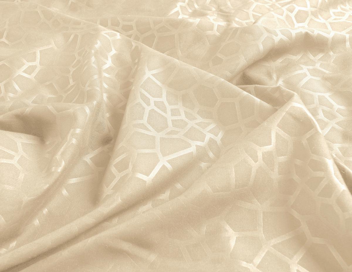POVLEČENÍ Animal Neu, 70X90/140X200 cm - béžová, Konvenční, textil (140/200cm) - Mömax