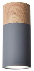 LED-Deckenleuchte 2284279 Tube - Grau, Natur, Metall (7,5/7,5/15cm)