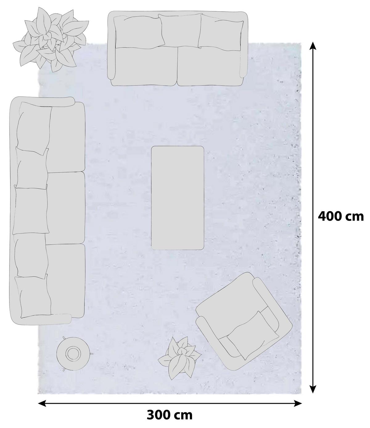 Hochflor Teppich Weiß Sydney 300x400 cm - Weiß, Basics, Textil (300/400cm)