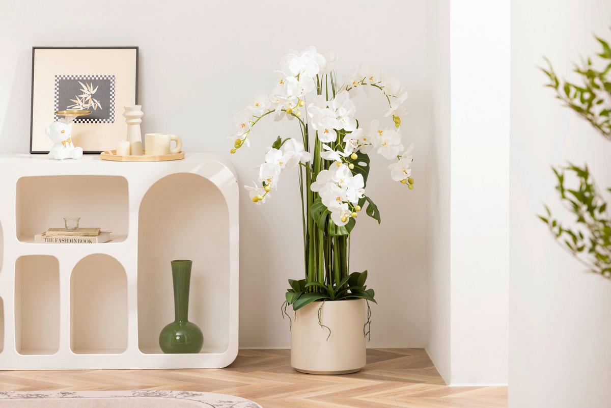 Orchidee Renate - Weiß/Grün, KONVENTIONELL, Kunststoff/Textil (23/120cm) - Luca Bessoni