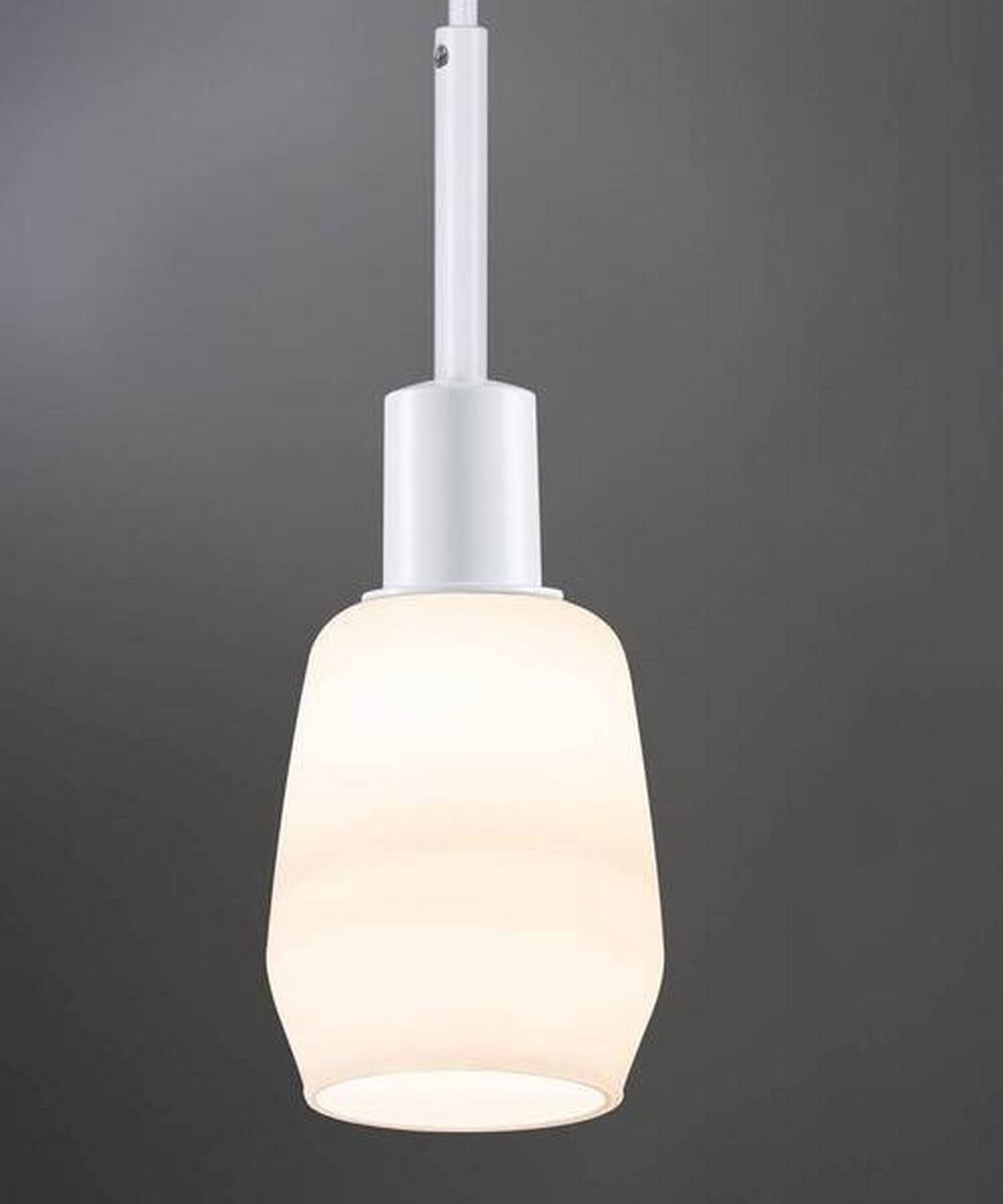 Schienensystem Urail Pendel 96971 in Weiß, dimmbar - Weiß, Basics, Kunststoff/Metall (4,4/135cm) - Paulmann