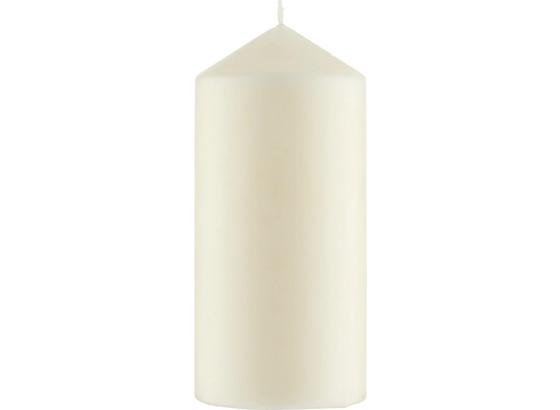 Oválna Sviečka Eva - šampanské (7/15cm) - Mömax modern living Oválna Sviečka Eva - šampanské (7/15cm) - Mömax modern living