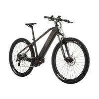 E-Mountainbike 29'' Schwarz Matt - Schwarz, LIFESTYLE, Metall (180/70/100cm)