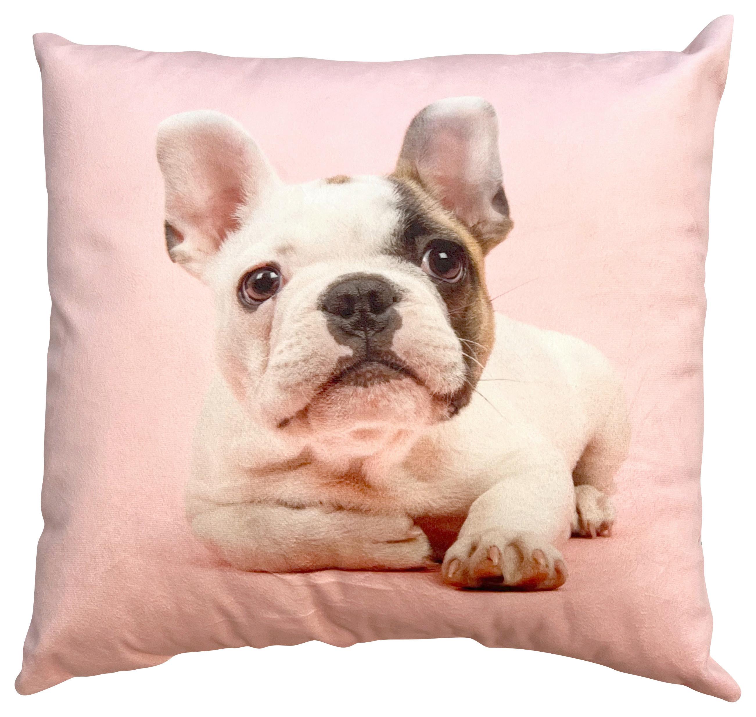 Dekoračný Vankúš French Buldog, 40/40cm - ružová, Design, textil (40/40cm)