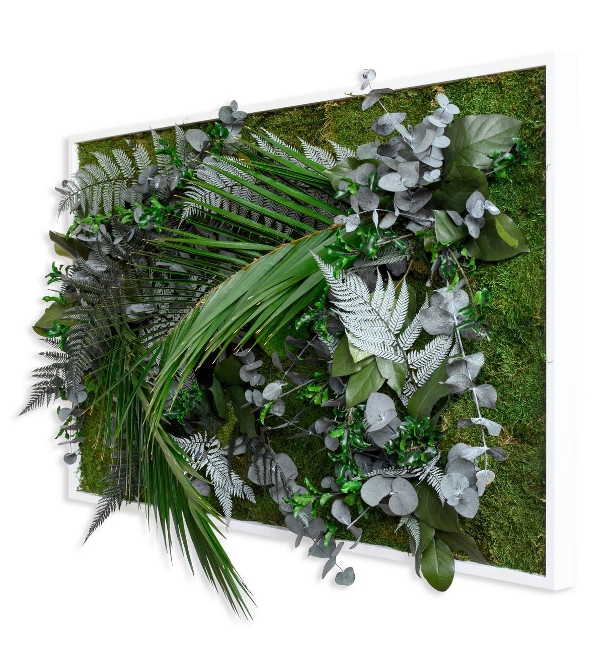 MOOSBILD Moos Grün B: 100 cm - Weiß/Grün, Basics, Naturmaterialien/Holz (100/60/18-22cm)