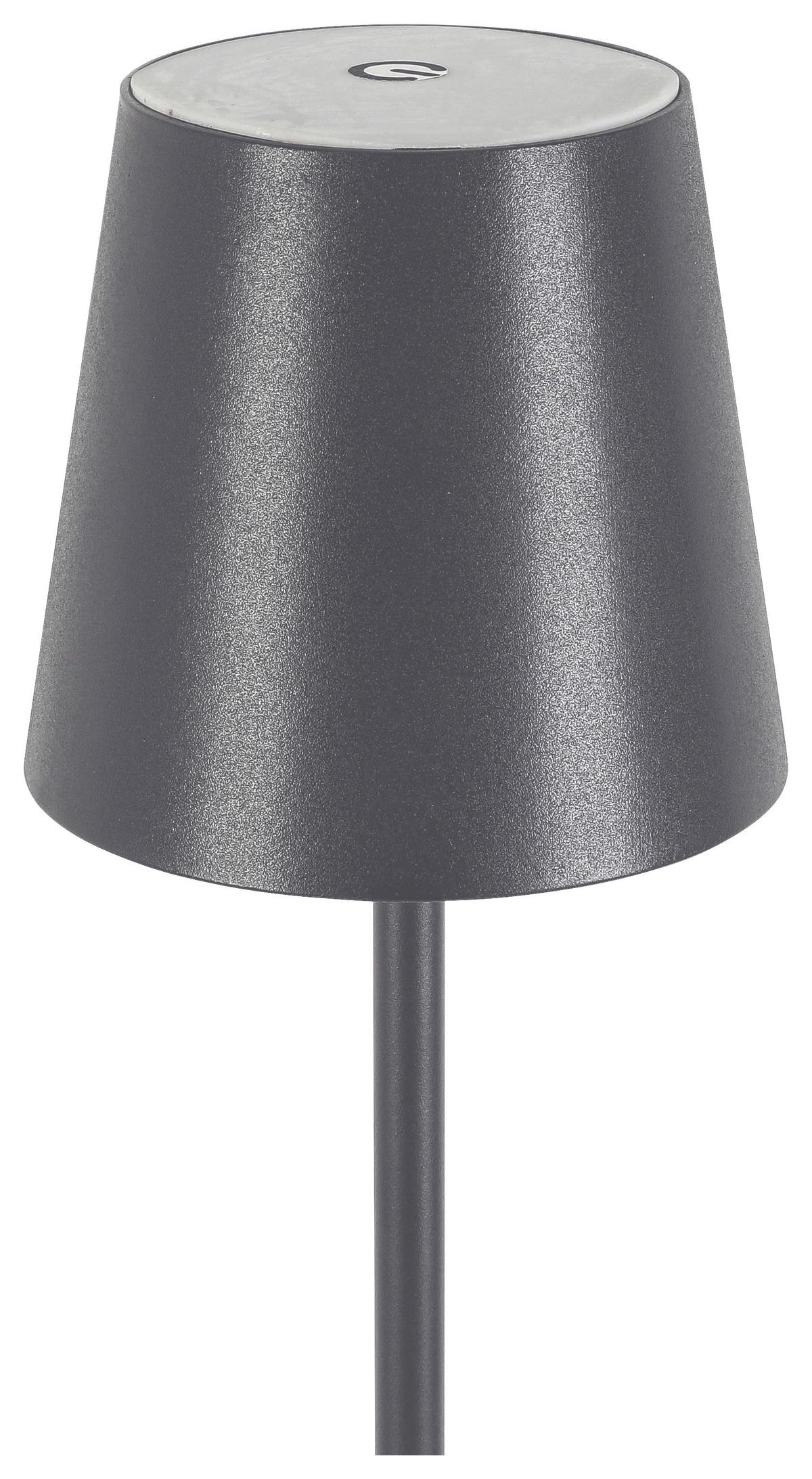 VONKAJŠIE LED SVIETIDLO AUSI - antracitová, Modern, kov/plast (22/130cm) - Modern Living