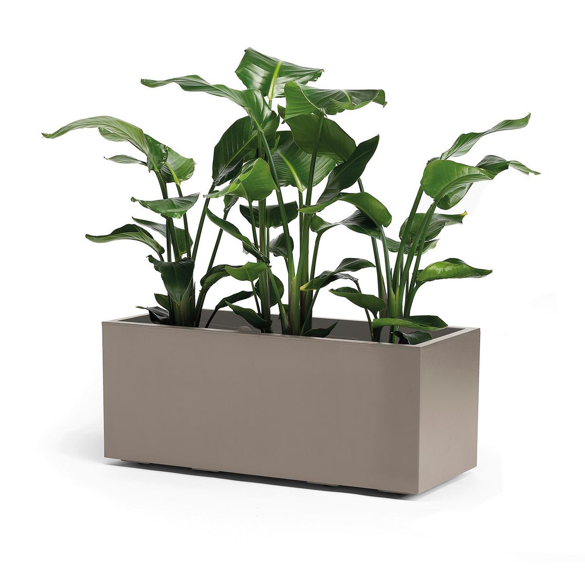 Blumenkasten Taupe B: 99,5 Cm - Taupe, Basics, Kunststoff (99,5/39,5/39,5cm)