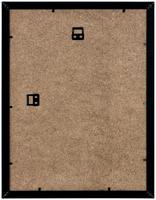 Rückseite Rückseite